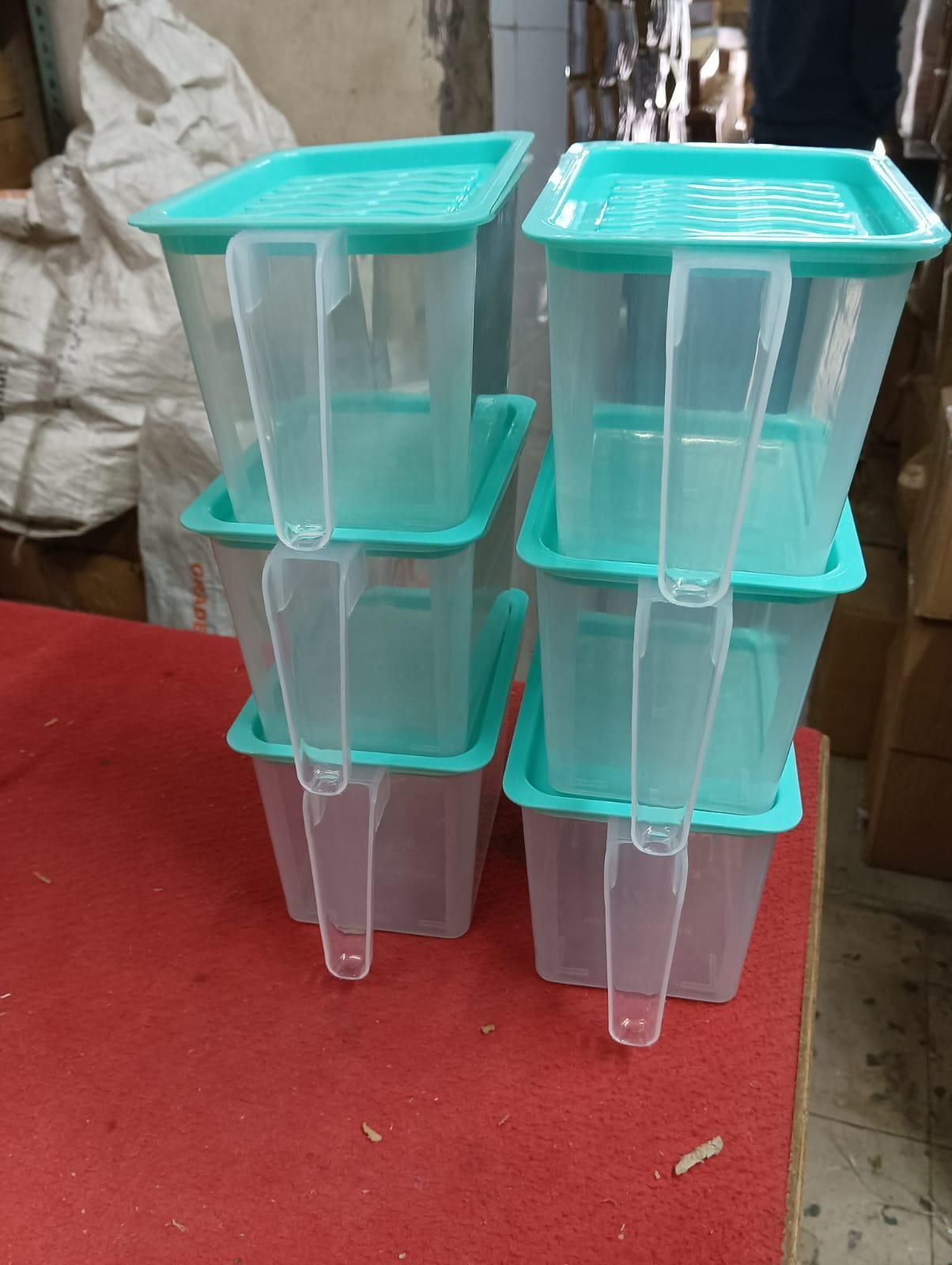 Unbreakable Food Container for kitchen storage with Handle (Pack of 6)