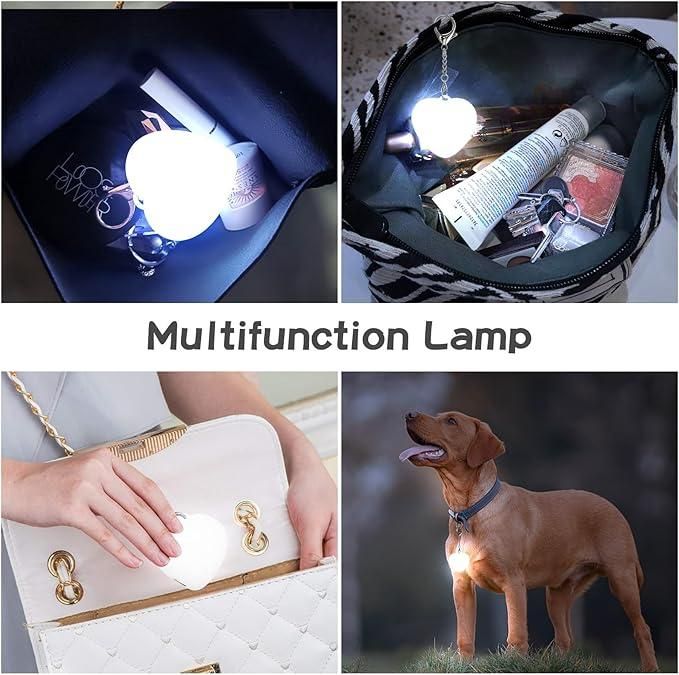 Heart-Shaped Purse Light Keychain (Automatic LED) (Auto-Touch)